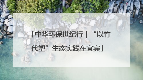 中华环保世纪行｜“以竹代塑”生态实践在宜宾