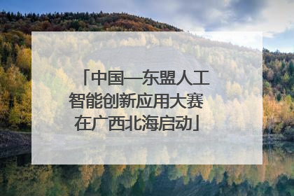 中国—东盟人工智能创新应用大赛在广西北海启动