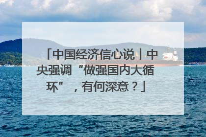 中国经济信心说丨中央强调“做强国内大循环”，有何深意？