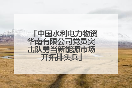 中国水利电力物资华南有限公司党员突击队勇当新能源市场开拓排头兵