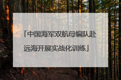 中国海军双航母编队赴远海开展实战化训练
