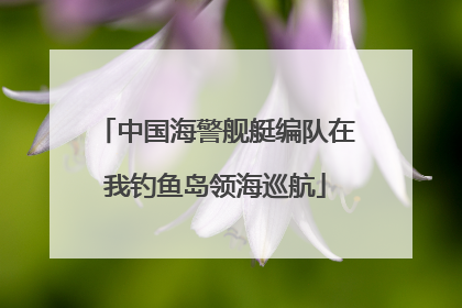 中国海警舰艇编队在我钓鱼岛领海巡航