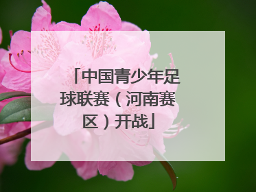 中国青少年足球联赛（河南赛区）开战