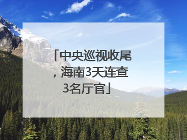 中央巡视收尾，海南3天连查3名厅官