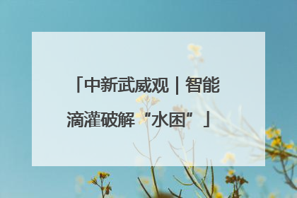 中新武威观｜智能滴灌破解“水困”