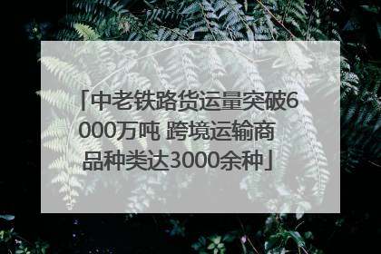中老铁路货运量突破6000万吨 跨境运输商品种类达3000余种