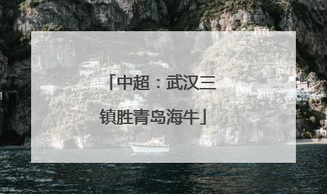 中超：武汉三镇胜青岛海牛