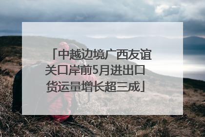 中越边境广西友谊关口岸前5月进出口货运量增长超三成
