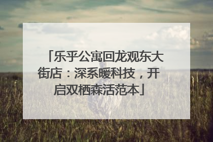 乐乎公寓回龙观东大街店：深系暖科技，开启双栖森活范本
