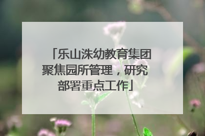 乐山洙幼教育集团聚焦园所管理，研究部署重点工作