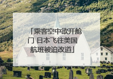 乘客空中欲开舱门 日本飞往美国航班被迫改道