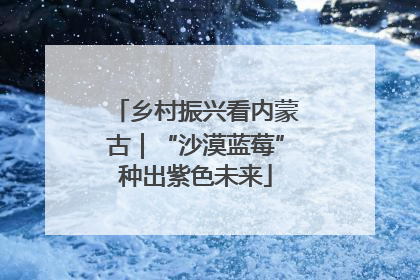 乡村振兴看内蒙古｜“沙漠蓝莓”种出紫色未来
