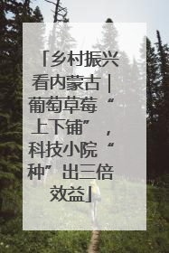 乡村振兴看内蒙古｜葡萄草莓“上下铺”，科技小院“种”出三倍效益