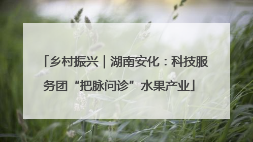 乡村振兴｜湖南安化：科技服务团“把脉问诊”水果产业