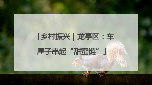 乡村振兴｜龙亭区：车厘子串起“甜蜜链”
