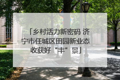 乡村活力新密码 济宁市任城区田园新业态收获好“丰”景