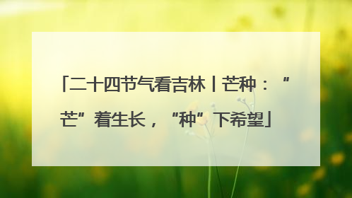二十四节气看吉林丨芒种：“芒”着生长，“种”下希望