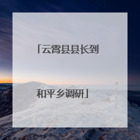 云霄县县长到和平乡调研