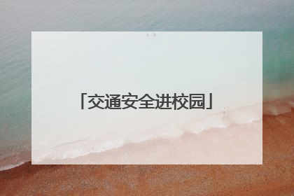 交通安全进校园