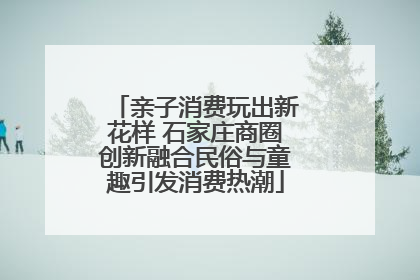 亲子消费玩出新花样 石家庄商圈创新融合民俗与童趣引发消费热潮