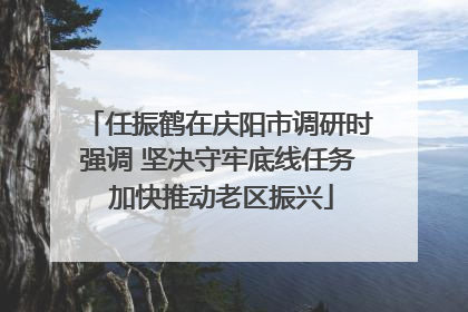 任振鹤在庆阳市调研时强调 坚决守牢底线任务 加快推动老区振兴
