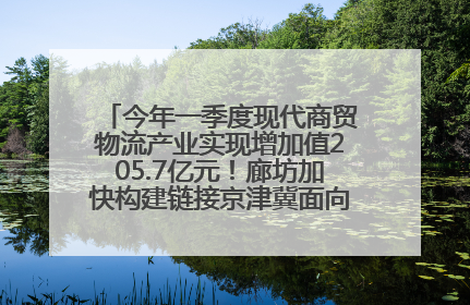 今年一季度现代商贸物流产业实现增加值205.7亿元！廊坊加快构建链接京津冀面向全世界的物流通道