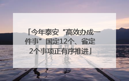 今年泰安“高效办成一件事”国定12个、省定2个事项正有序推进