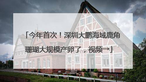 今年首次！深圳大鹏海域鹿角珊瑚大规模产卵了，视频→