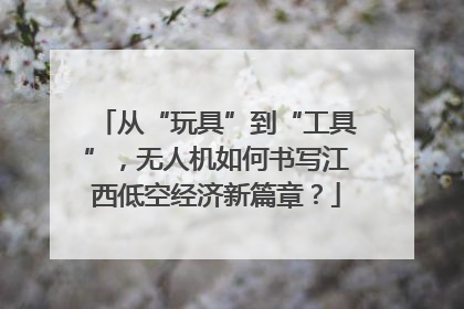 从“玩具”到“工具”，无人机如何书写江西低空经济新篇章？