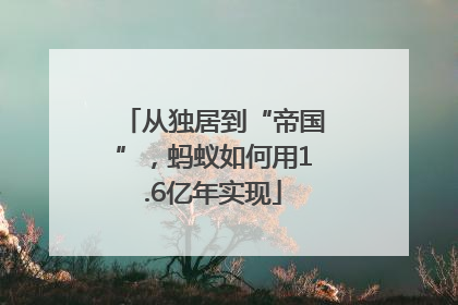 从独居到“帝国”，蚂蚁如何用1.6亿年实现