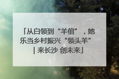 从白领到“羊倌”，她乐当乡村振兴“领头羊”｜来长沙 创未来