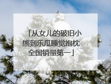 从女儿的破旧小熊到乐瓜睡觉抱枕全国销量第一