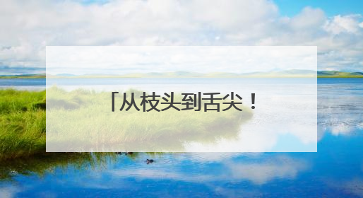 从枝头到舌尖！宿迁鲜果“链”起采摘经济绘就农旅融合新图景