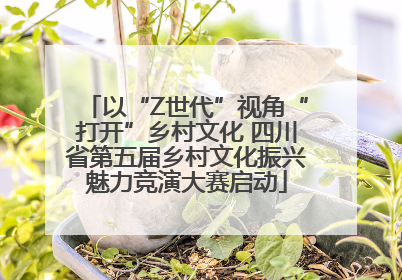 以“Z世代”视角“打开”乡村文化 四川省第五届乡村文化振兴魅力竞演大赛启动