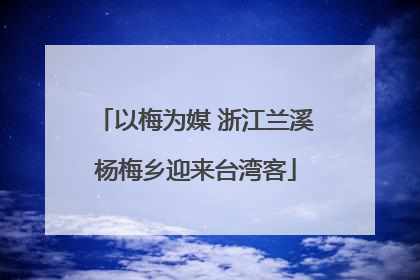以梅为媒 浙江兰溪杨梅乡迎来台湾客