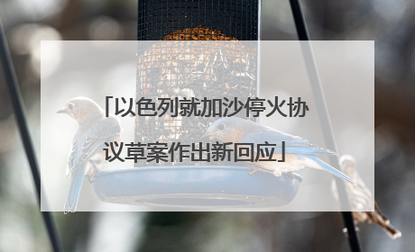 以色列就加沙停火协议草案作出新回应