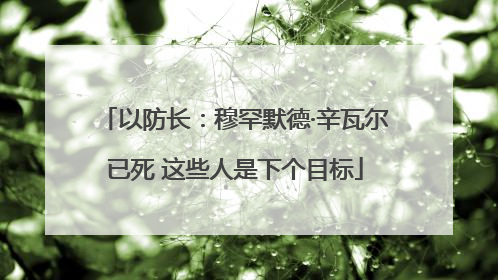 以防长：穆罕默德·辛瓦尔已死 这些人是下个目标