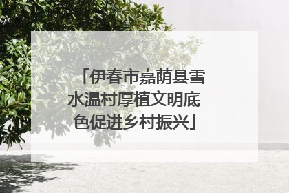 伊春市嘉荫县雪水温村厚植文明底色促进乡村振兴