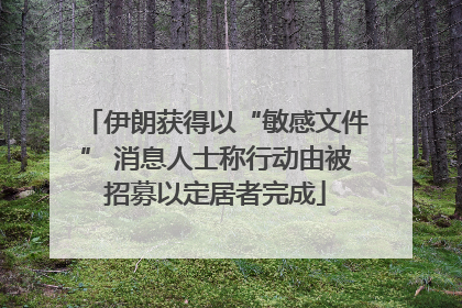 伊朗获得以“敏感文件” 消息人士称行动由被招募以定居者完成