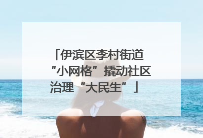 伊滨区李村街道 “小网格”撬动社区治理“大民生”