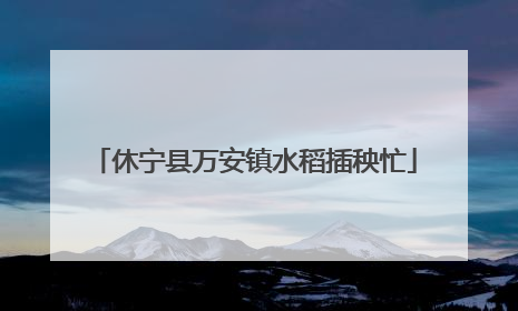 休宁县万安镇水稻插秧忙
