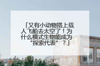 又有小动物搭上载人飞船去太空了！为什么模式生物能成为“探索代表”？