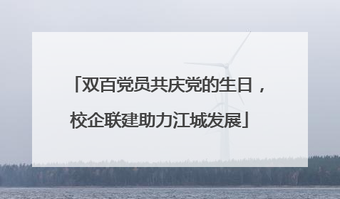 双百党员共庆党的生日，校企联建助力江城发展