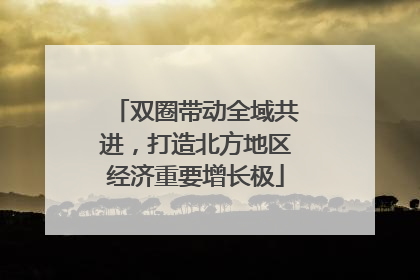 双圈带动全域共进，打造北方地区经济重要增长极