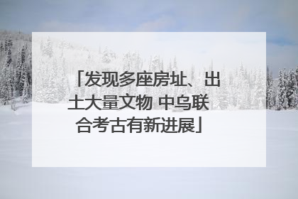 发现多座房址、出土大量文物 中乌联合考古有新进展