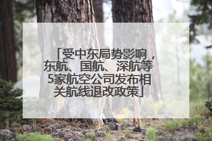 受中东局势影响，东航、国航、深航等5家航空公司发布相关航线退改政策