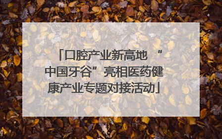 口腔产业新高地 “中国牙谷”亮相医药健康产业专题对接活动