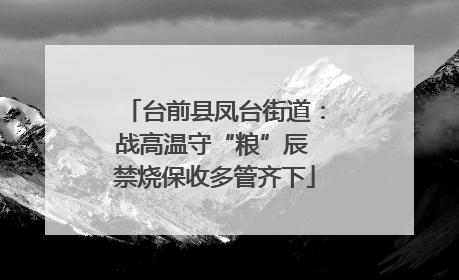 台前县凤台街道：战高温守“粮”辰 禁烧保收多管齐下