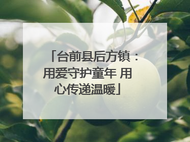 台前县后方镇：用爱守护童年 用心传递温暖