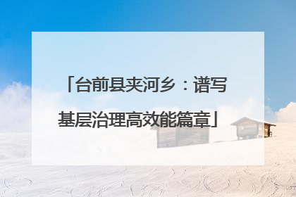 台前县夹河乡：谱写基层治理高效能篇章